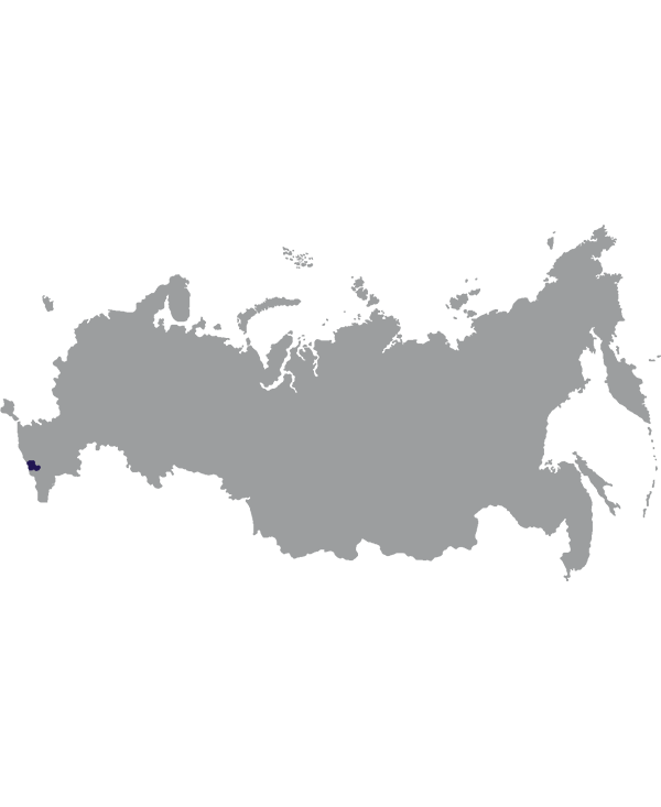 Landkaart Rusland grijs met republiek Kabardië-Balkarië donkerblauw op transparante achtergrond - 600 * 733 pixels